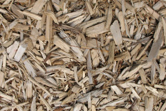 biomass boilers Lingwood